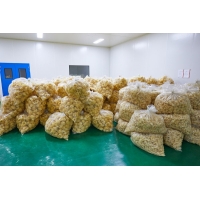無公害銀耳常年供應，干銀耳，銀耳鮮燉，銀耳花，雪菲寵耳