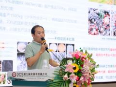 劉偉：羊肚菌交配型基因與菌種技術 ()