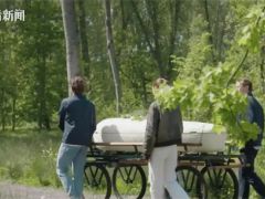 實(shí)現(xiàn)生命循環(huán)！全球首款“蘑菇做的棺材”在英使用