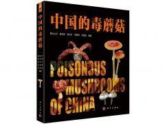 科學家揭示中國超500種毒蘑菇