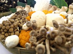 在云南當“野生菌獵人”是種什么體驗?